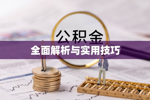 渭滨全面解析与实用技巧