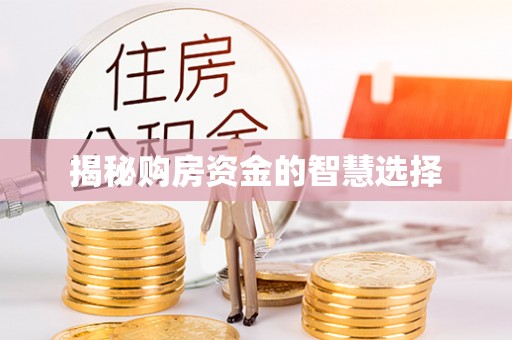 石龙揭秘购房资金的智慧选择