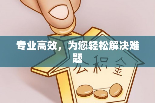 精河专业高效，为您轻松解决难题
