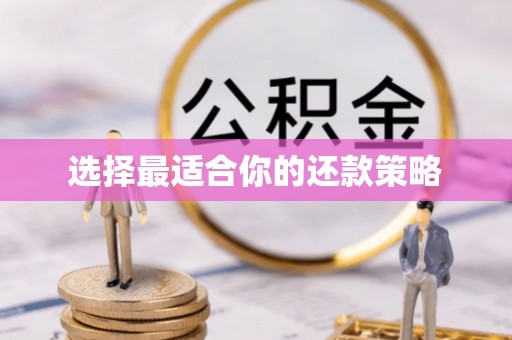 楚雄选择最适合你的还款策略