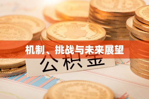 泽普机制、挑战与未来展望